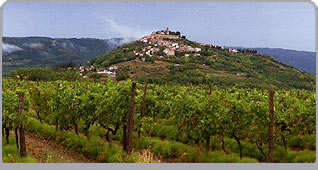 Agritourism and farms