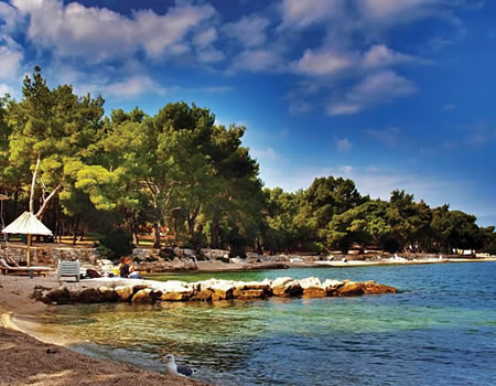 1: Explore the beaches