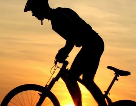 6. Cycling in Istria