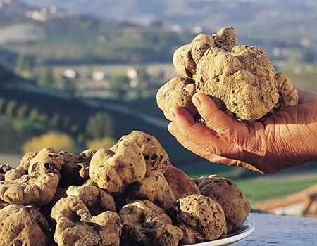 7: Go truffle hunting