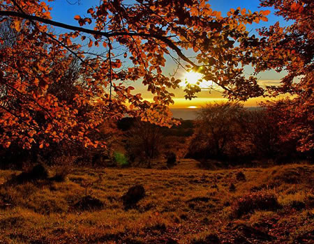 4: Explore nature park Ucka