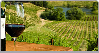 Wineries and Winemakers